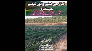 زمین کیساتھ گھر 🏡 فری #minivlog #agriculturalland #shortsviral #youtubeshorts #shorts