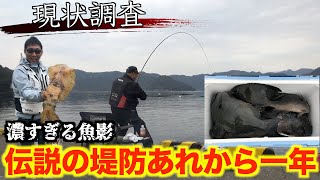 【三重県・某堤防】あの驚愕のスーパー堤防に一年振りに行ってみた