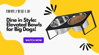 Bowls on a Roll: Elevated Dining for Big Dogs!