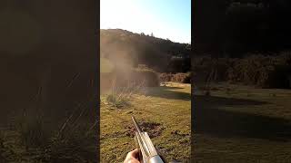 tir sanglier 300win mag