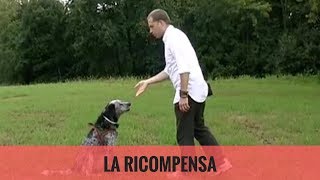 La ricompensa