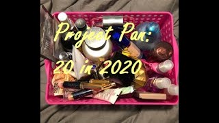 Project Pan: 20 in 2020