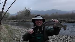 Creek to Plate Utah Rainbow Trout Fishing, buttermilk marinade & cornmeal dredge