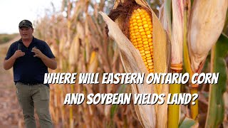 2024 Great Ontario Yield Tour — Eastern Corn and Soybean Yield Predictions