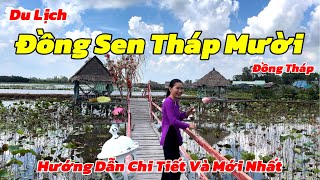 Khám Phá KDL Đồng Sen Tháp Mười Trải Nghiệm Đi Xuồng Kéo Lưới Và Thưởng Thức Ẩm Thực Đồng Quê