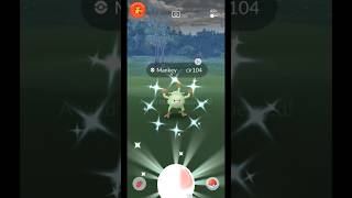 Shiny Mankey Appeared in Wild #shiny #pokemongo #shorts #pikachuofficial2023 #mankey #pokemon