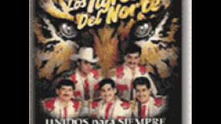 Los Tigres del Norte - Alla Nos Juntamos