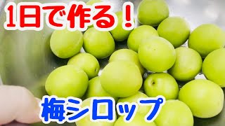 【青梅】超簡単１日で作れる梅シロップ