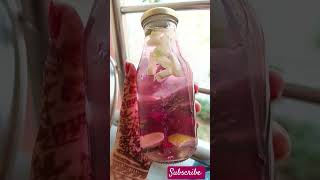 Beetroot detox water🌰 #shorts #beetroot #recipe