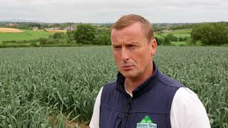 NI vegetable farmers - planting