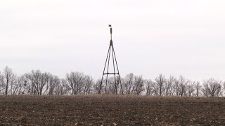 Поранена земля: наслідки  бомбардувань та обстрілів для довкілля можуть бути вкрай небезпечними