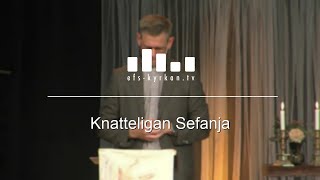 Knatteligan Sefanja