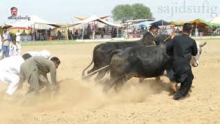 Akharha krah mela shakrila.