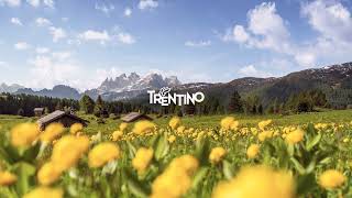 Live streaming di Visit Trentino