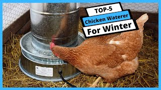 ✅ Best Chicken Waterer For Winter: Chicken Waterer For Winter (Buying Guide)