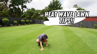 Helping your lawn through a heat wave