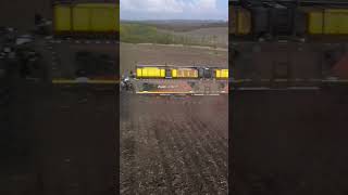 Precision Sunflower Farming Techniques: Nexat and Vaderstad 🌻🚜