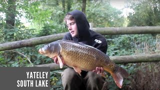 A YATELEY SOUTH LAKE SESSION - LOTS OF CARP