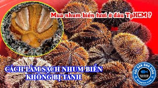 Cách sơ chế nhum biển nướng mỡ hành - cách làm cầu gai không bị tanh | Hải sản tươi sống Ông Giàu