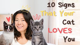 10 Signs That Your Cat REALLY LOVES YOU