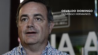 Osvaldo Domingo, actualidad del Torrontés