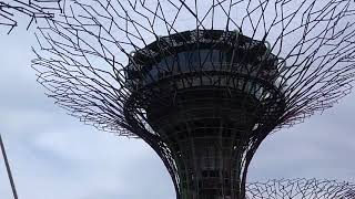 Gardens by the Bay - Supertree Grove - OCBC skyway - Cingapura - Maio 2019