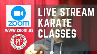 Live Zoom Classes at Zen-Shin Martial Arts Academy (During self-isolation)