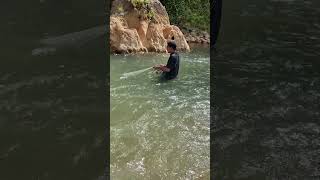 #shortsvideo .!! Diluar Dugaan Lempar jala Dekat Batu #fishing #netsfishing