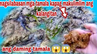 PART 3 NG PA-MEDJO SA TAMALA|DAMING TAMALA PAG-MAKULIMLIM ANG PANAHON, HALOS MAGKADIKIT LANG SILA 😱😱