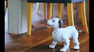 Smart robot dog