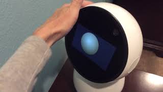 Jibo Gets Love One Last Time Before He Goes to the Tech Museum