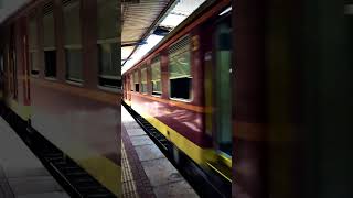 Riding the Rails: Train Video ASMR Experience #train