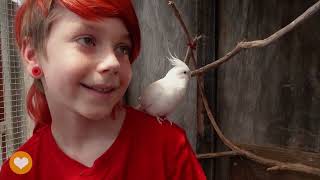 Bird Care - SPCA Kids