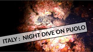 Scuba diving : night dive on Puolo's marina - Italy, Campania