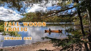 Fall Woods Frolic-Hammock Camping Backcountry Nova Scotia