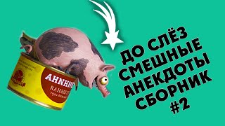 Анекдоты смешные до слез! 🌸 Сборник панДжокер!