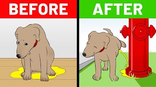 How To Potty Train Your Puppy FAST (and 7 Puppy Training Hacks)