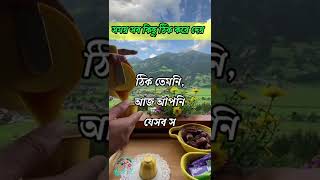 বিশ্বাস রাখুন আল্লাহর উপর,সময় সবকিছু ঠিক করে দেয়।