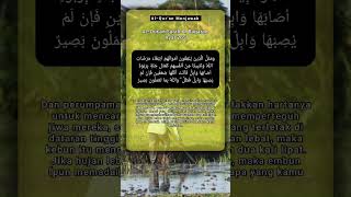 Al Qur'an Surah Al Baqarah Ayat 265 #shorts