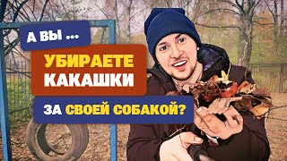 Нужно ли убирать какашки за собакой?