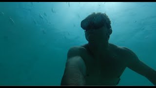 Free Dive with Turtles, Rays, Amazing Drone Scenery! - Ep.1 Auzzie Escape