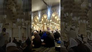 Ya Nabi Salam u Alika #masjidnabawi #madina #shortvideo #ytshort #short