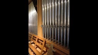 Louis Vierne (1870-1937) Op. 31 Nr. 17: Lied