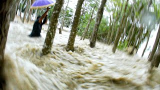 OMBAK BONO TELUK MERANTI