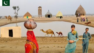 Most amazing traditional village life Pakistan | mud house | water pond | Desert life in Pakistan