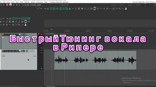 Как быстро сделать Тюнинг вокала в Рипере