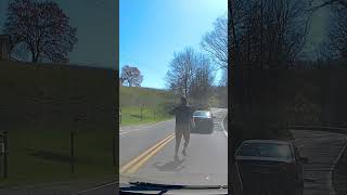 Dashcam: Snapping turtle in the road #HÂYÂHSCREATION #snappingturtle #dashcam