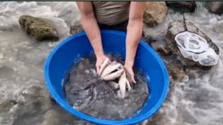 #fishingvideo#foryou #fypシ #viral #viralvideo #video