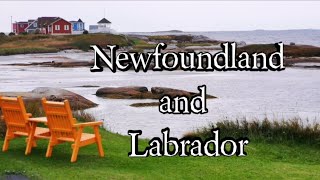 Road Trip: Explore NL Newfoundland and Labrador CANADA 🇨🇦  #explorecanada  #explorenl #ilovenl