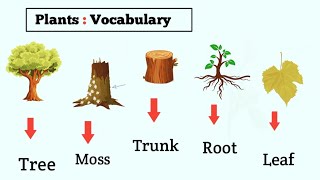 Plants Vocabulary | Vocabulary with Pictures | Daily Use English Vocabulary